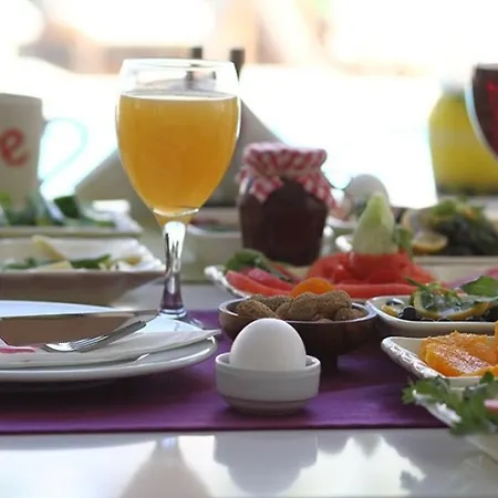 Ege Tulip Hotel 4*